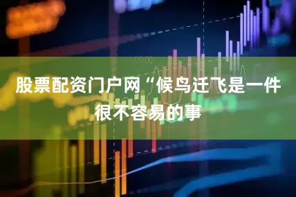 股票配资门户网“候鸟迁飞是一件很不容易的事